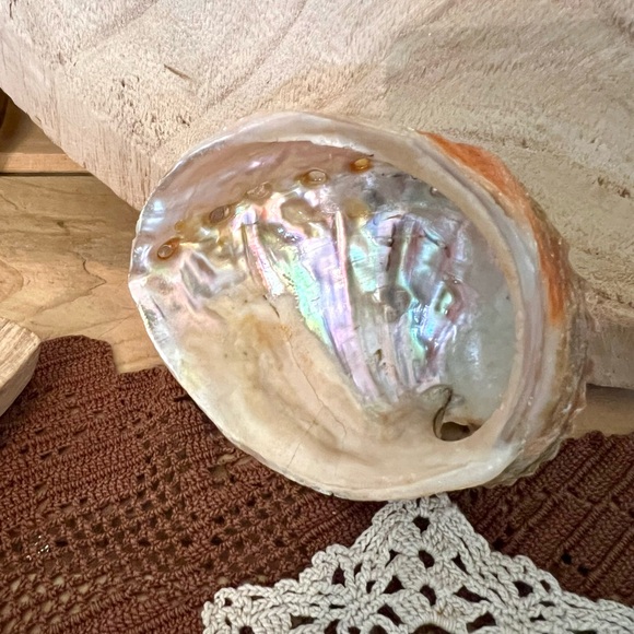 STUNNING PEARLIZED ABALONE PAUPAU SEASHELL Palo Santo SET - Picture 3 of 3